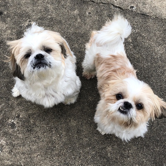 Meet your Posher, Christina - Picture 1 of 1